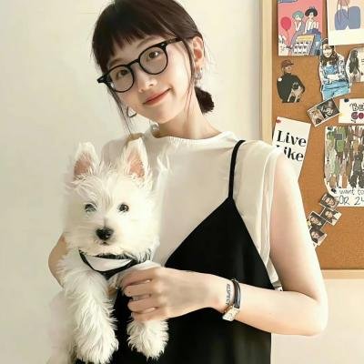 麦兜·当当伴我心